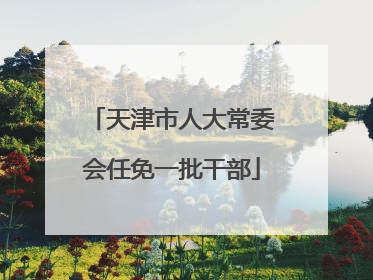 天津市人大常委会任免一批干部