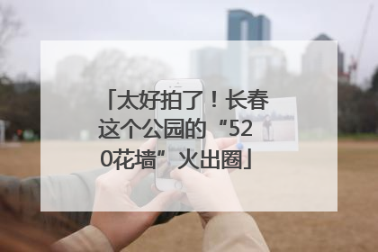太好拍了！长春这个公园的“520花墙”火出圈