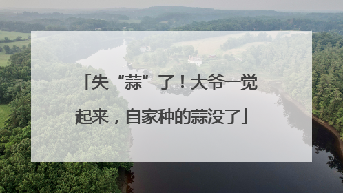 失“蒜”了！大爷一觉起来，自家种的蒜没了