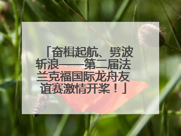 奋楫起航、劈波斩浪——第二届法兰克福国际龙舟友谊赛激情开桨！