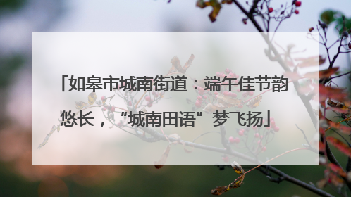 如皋市城南街道：端午佳节韵悠长，“城南田语”梦飞扬