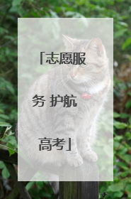 志愿服务 护航高考