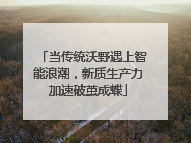 当传统沃野遇上智能浪潮，新质生产力加速破茧成蝶