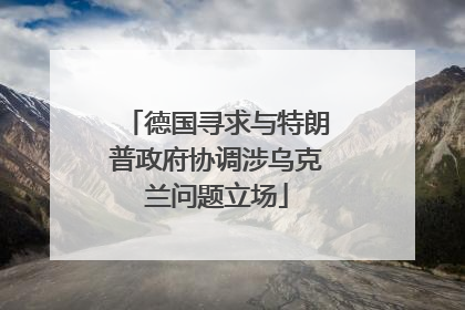 德国寻求与特朗普政府协调涉乌克兰问题立场