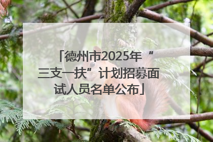 德州市2025年“三支一扶”计划招募面试人员名单公布