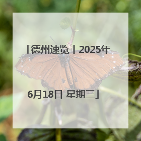 德州速览丨2025年6月18日 星期三