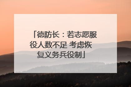 德防长：若志愿服役人数不足 考虑恢复义务兵役制