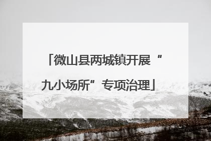 微山县两城镇开展“九小场所”专项治理