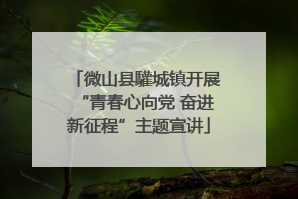 微山县驩城镇开展“青春心向党 奋进新征程”主题宣讲