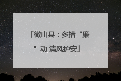 微山县：多措“廉”动 清风护安