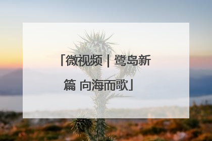 微视频｜鹭岛新篇 向海而歌