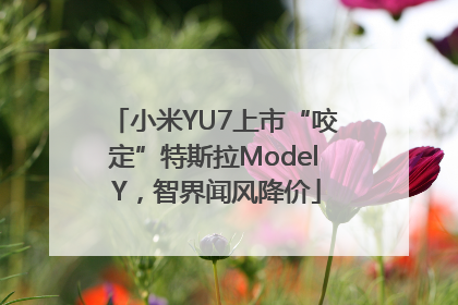 小米YU7上市“咬定”特斯拉Model Y，智界闻风降价