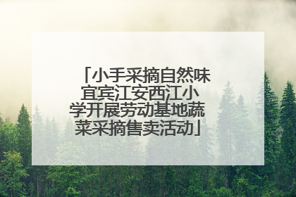 小手采摘自然味 宜宾江安西江小学开展劳动基地蔬菜采摘售卖活动