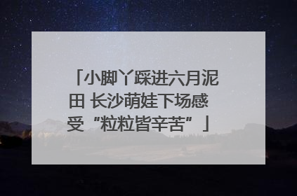 小脚丫踩进六月泥田 长沙萌娃下场感受“粒粒皆辛苦”