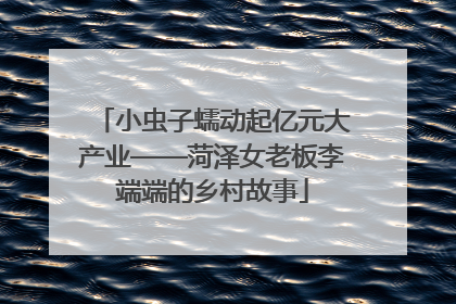 小虫子蠕动起亿元大产业——菏泽女老板李端端的乡村故事
