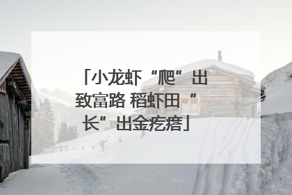 小龙虾“爬”出致富路 稻虾田“长”出金疙瘩