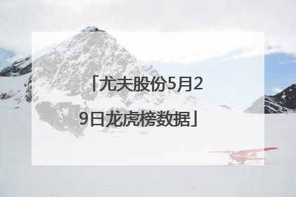 尤夫股份5月29日龙虎榜数据