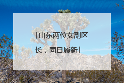 山东两位女副区长，同日履新