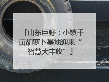 山东巨野：小镇千亩胡萝卜基地迎来“智慧大丰收”