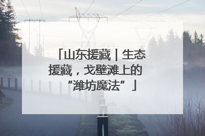 山东援藏｜生态援藏，戈壁滩上的“潍坊魔法”