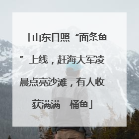 山东日照“面条鱼”上线，赶海大军凌晨点亮沙滩，有人收获满满一桶鱼