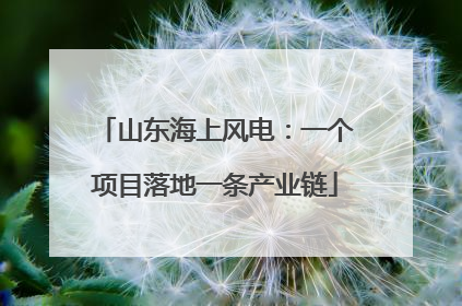 山东海上风电：一个项目落地一条产业链