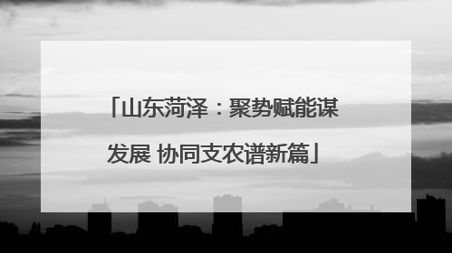 山东菏泽：聚势赋能谋发展 协同支农谱新篇