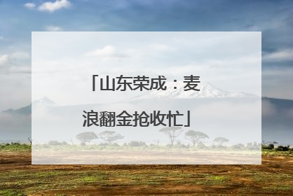 山东荣成：麦浪翻金抢收忙