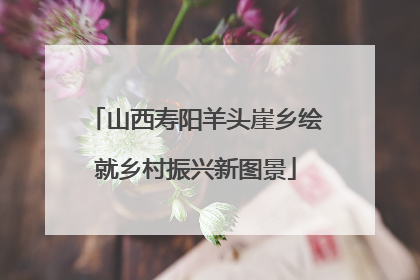 山西寿阳羊头崖乡绘就乡村振兴新图景