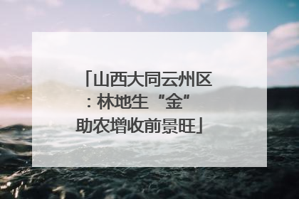 山西大同云州区：林地生“金” 助农增收前景旺