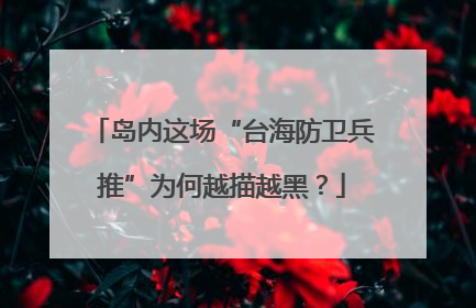 岛内这场“台海防卫兵推”为何越描越黑？