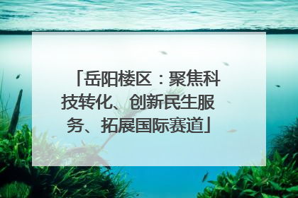 岳阳楼区：聚焦科技转化、创新民生服务、拓展国际赛道
