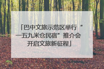 巴中文旅示范区举行“一五九米仓民宿”推介会 开启文旅新征程