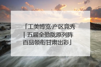 工美博览·产区竞秀｜五届全勤陇原列阵 百品领衔甘肃出彩