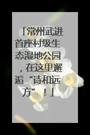 常州武进首座村级生态湿地公园，在这里邂逅“诗和远方”！