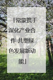常蒙携手深化产业合作 共塑绿色发展新动能