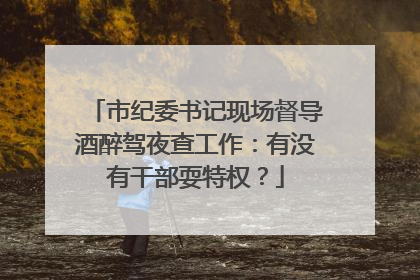 市纪委书记现场督导酒醉驾夜查工作：有没有干部耍特权？
