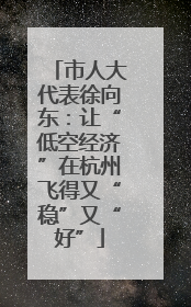 市人大代表徐向东：让“低空经济”在杭州飞得又“稳”又“好”