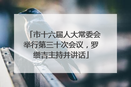 市十六届人大常委会举行第三十次会议，罗缵吉主持并讲话