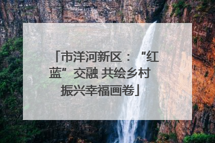 市洋河新区：“红蓝”交融 共绘乡村振兴幸福画卷
