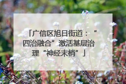广信区旭日街道：“四治融合”激活基层治理“神经末梢”
