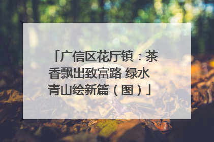 广信区花厅镇：茶香飘出致富路 绿水青山绘新篇（图）