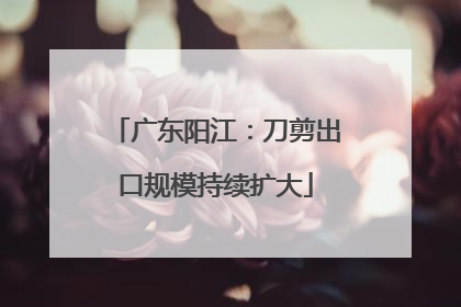 广东阳江：刀剪出口规模持续扩大