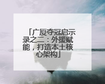 广厦夺冠启示录之二：外援赋能，打造本土核心架构