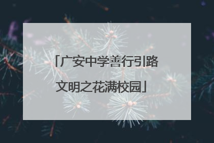广安中学善行引路 文明之花满校园