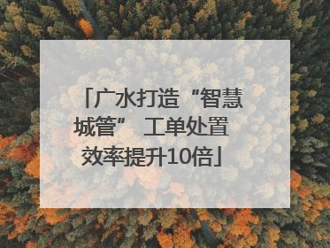 广水打造“智慧城管” 工单处置效率提升10倍