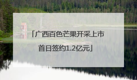 广西百色芒果开采上市 首日签约1.2亿元