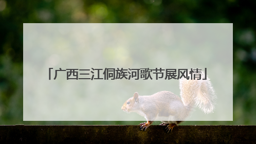 广西三江侗族河歌节展风情