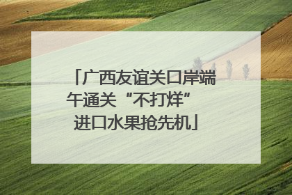 广西友谊关口岸端午通关“不打烊” 进口水果抢先机