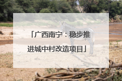 广西南宁：稳步推进城中村改造项目